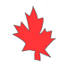 Maple Leaf Coloring Pages