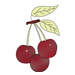 Cherry Coloring Pages