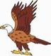 Eagle Coloring Pages