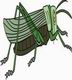 Grasshoper Coloring Pages