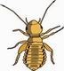 Louse Coloring Pages