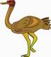 Ostrich Coloring Pages