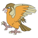 Pidgeott Coloring Pages