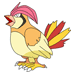 Pidgeotto Coloring Pages