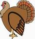 Turkey Coloring Pages