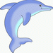 Dolphin Fish drawing