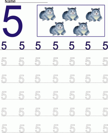 Count Number Worksheet 5 Sheet