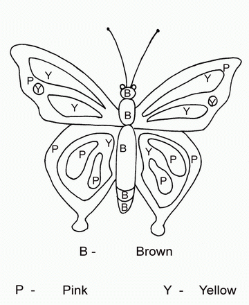 Drawing Dot To Dots Butterfly Sheet