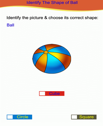 Choose Correct Option 1 Sheet