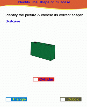 Choose Correct Option 28 Sheet