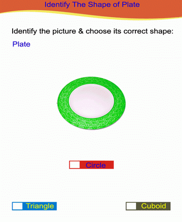 Choose Correct Option 30 Sheet