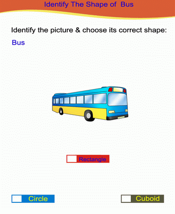 Choose Correct Option 39 Sheet