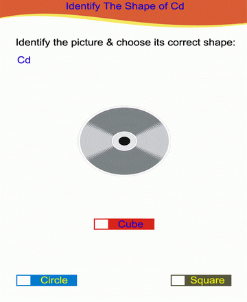 Choose Correct Option 41 Sheet