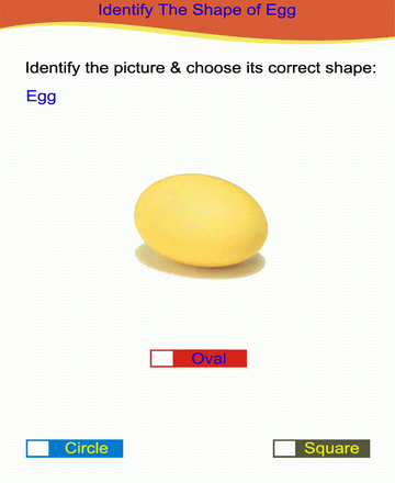 Choose Correct Option 49 Sheet