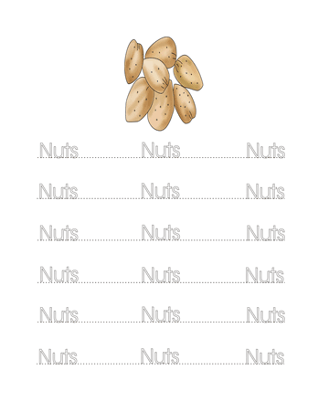 Nuts Word Worksheet Sheet
