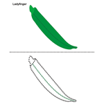 Vegetables Work Sheets