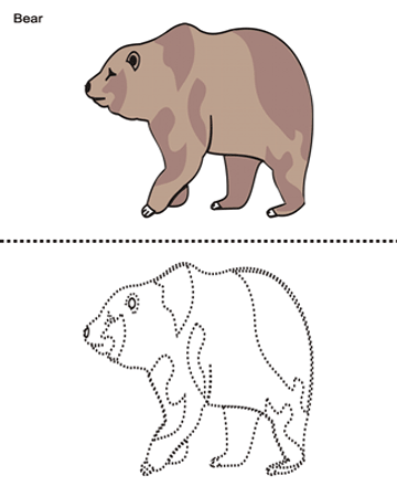 Bear Sheet