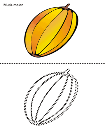 Musk Melon Sheet