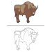 Bison