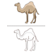 Camel