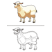 Sheep