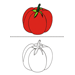 Tomato